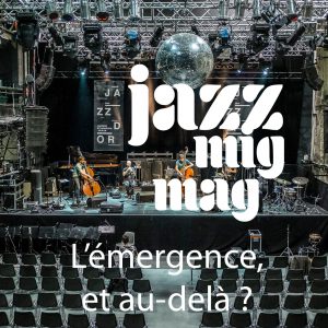 Lire la suite à propos de l’article L&rsquo;émergence, et au-delà ?