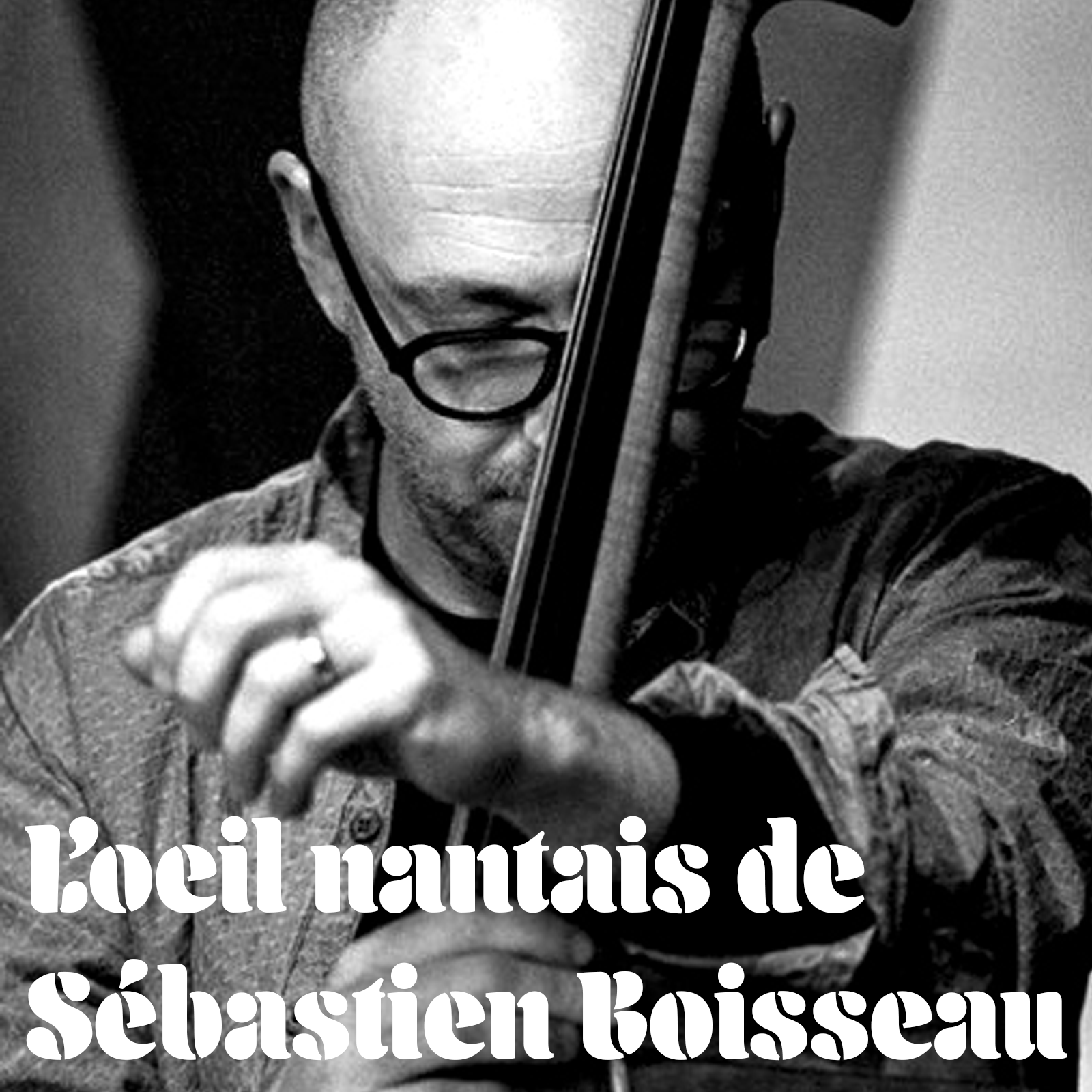 Lire la suite à propos de l’article L&rsquo;oeil nantais de Sébastien Boisseau